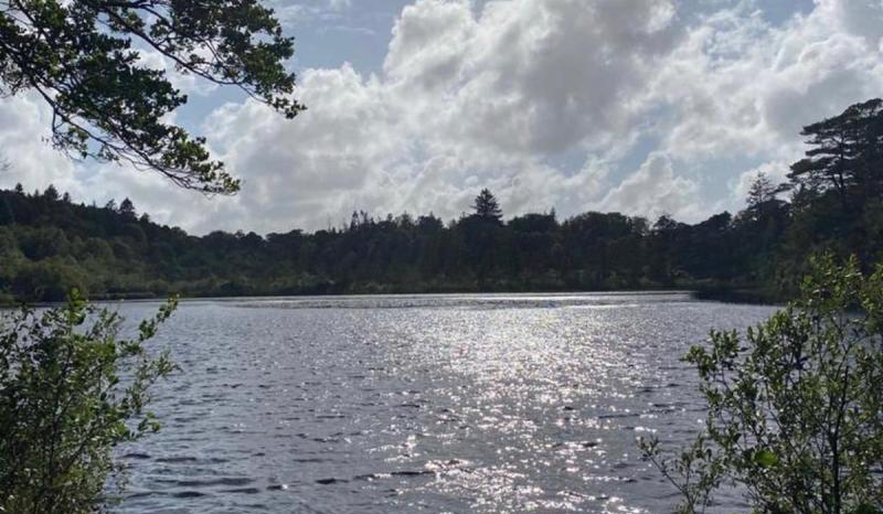 Donegal forest park among Ireland’s most visited Coillte sites