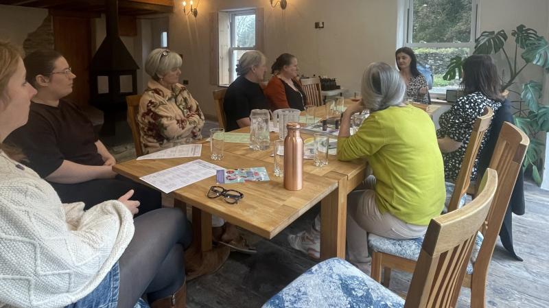 Success for Ballybofey’s chemical-free cleaning workshop, Winter Wellness event announced