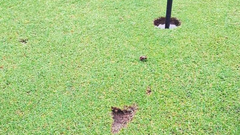 Buncrana Golf Club threaten to ban culprits who left divot marks on green