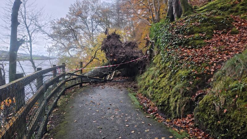 Large fallen tree blocks path and damages fence on Donegal Town's Bank Walk