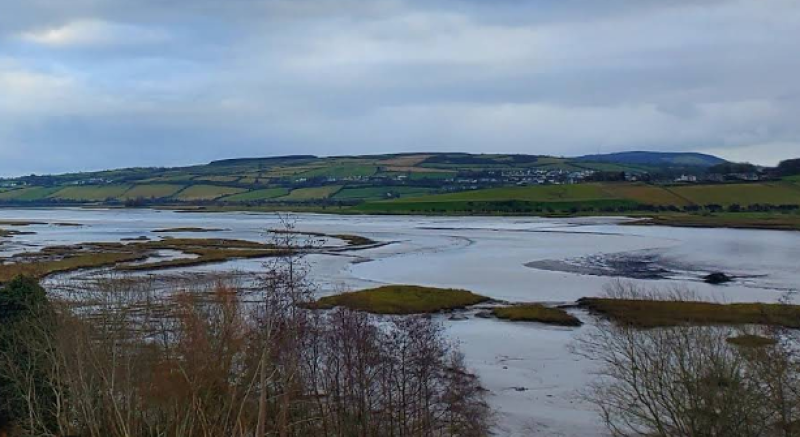 Calls for special workshop to implement River Swilly walkway 