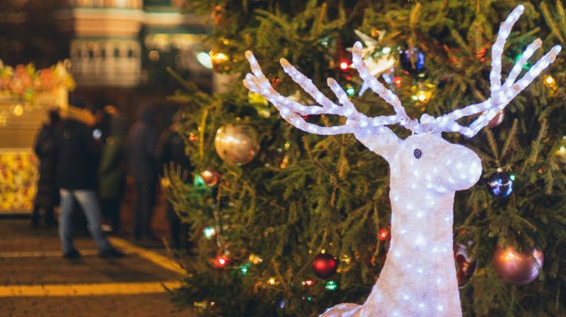 Donegal gardaí issue Christmas plea following ‘damage’ to display last year 