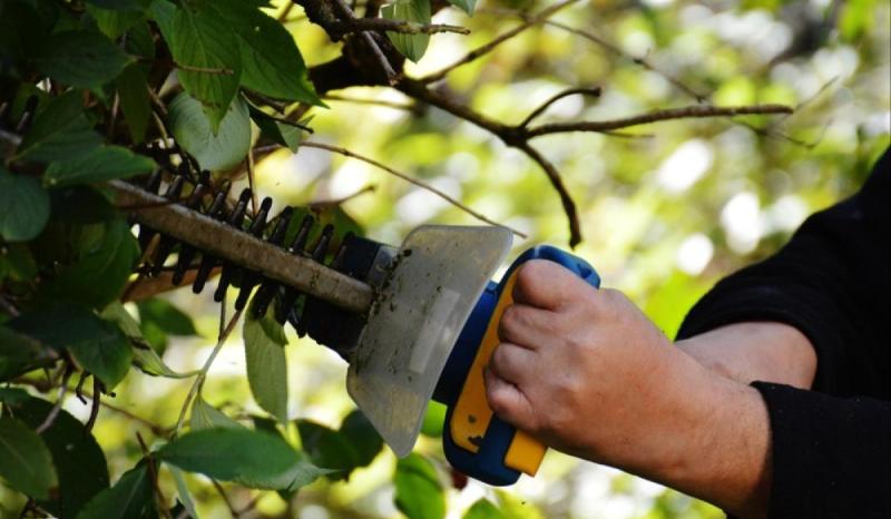Donegal County Council urged to intervene as ‘hedges making it difficult to travel’