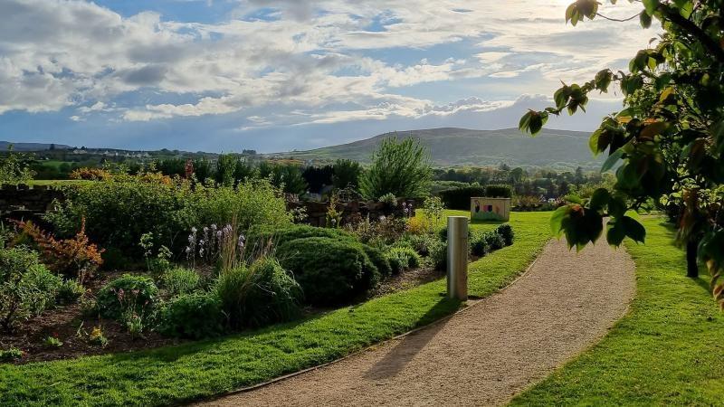 Green light for Carndonagh Rewetting project