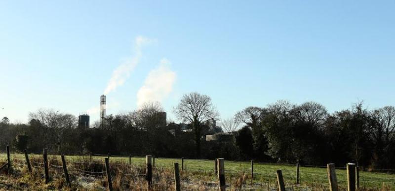 Prosecution possible after illegal felling of ancient Donegal woodland, Department says