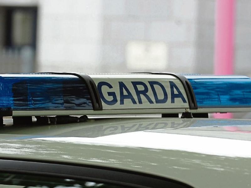 Two arrested in Garda crackdown into over 40 theft and deception incidents across Ireland