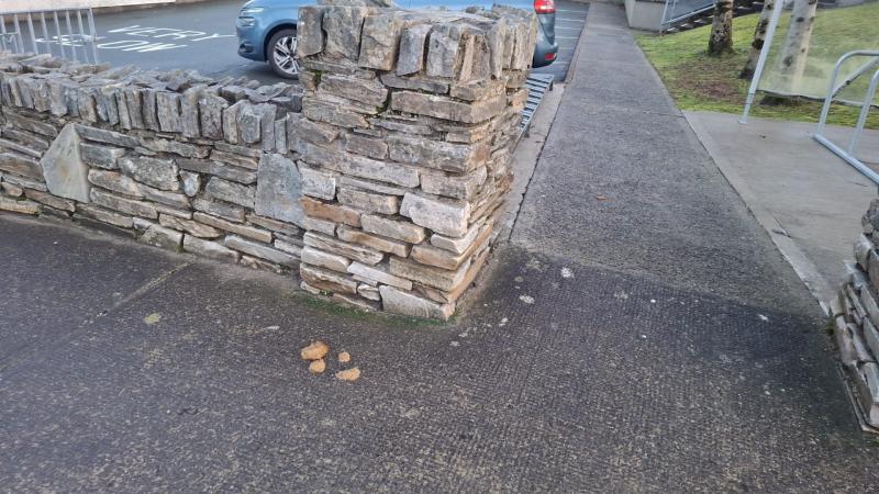 Councillor brands dog fouling outside Glenties school &lsquo;disgraceful and dangerous&rsquo;