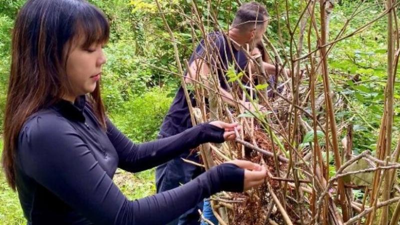 Dealing with the threat of invasive plants and helping to restore natural harmony