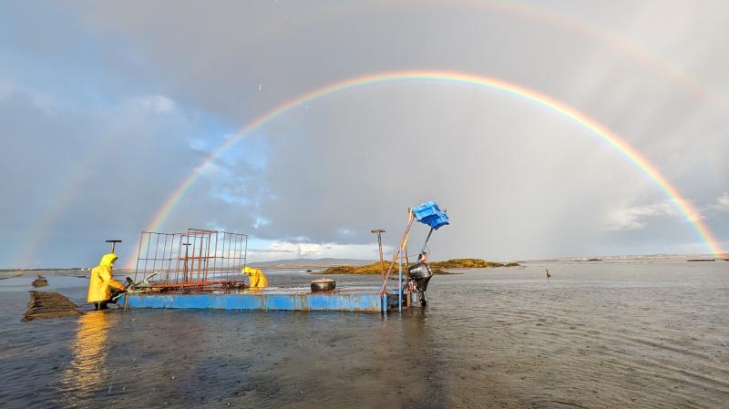 Listening to oysters &ndash; Meet the Donegal farmer innovating with acoustics 