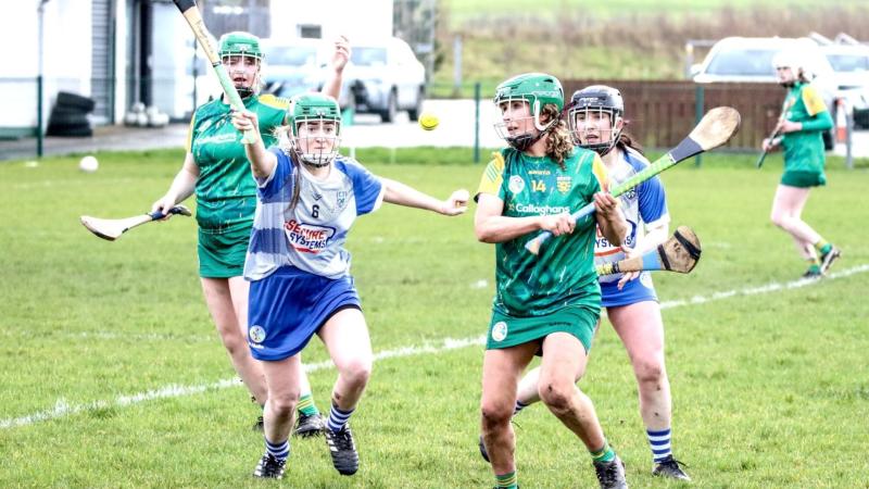 Greenan shines as Donegal Camogs lose out narrowly in Division 3B opener