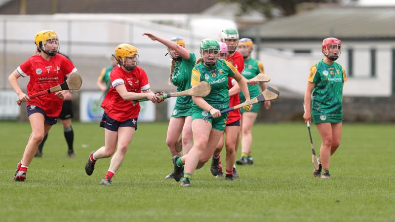 Goals win games as Donegal camogs lose out to Louth