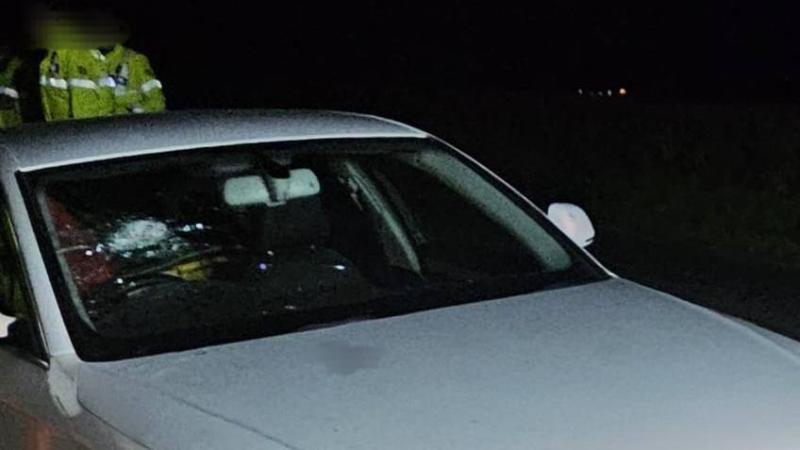 Stinger deployed before car found abandoned and seized in Donegal 