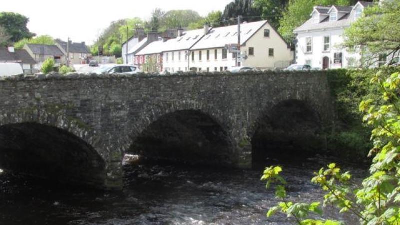 Councillors told &lsquo;eyesore&rsquo; fallen tree will not be removed in Ramelton