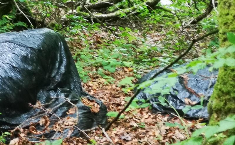 South Donegal fly tipping concerns highlighted in Council MD meeting