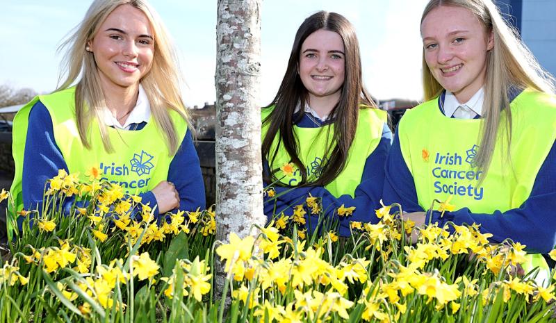 Donegal students support cancer patients by getting behind Daffodil Day 