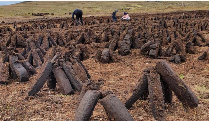 Sudden measures called for to allow the sale of turf in the current energy crisis