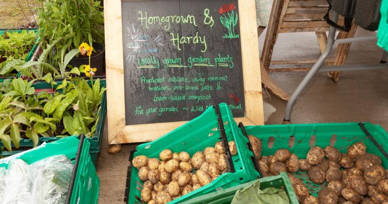 Rossnowlagh Farmers Market is on the move with new venue announced