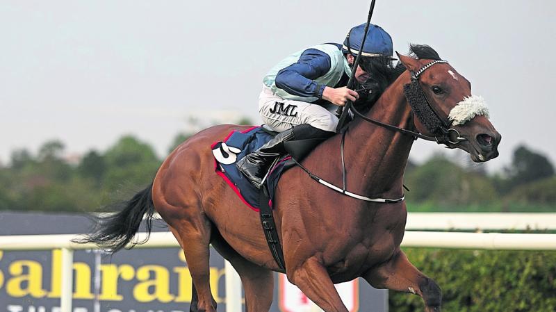 Bellewstown 11/4 winner for Ballyare jockey Patrick McGettigan  on Sunday 