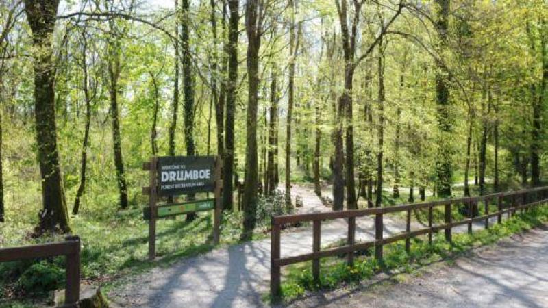 Long-awaited re-opening of Drumboe Woods path taking place today