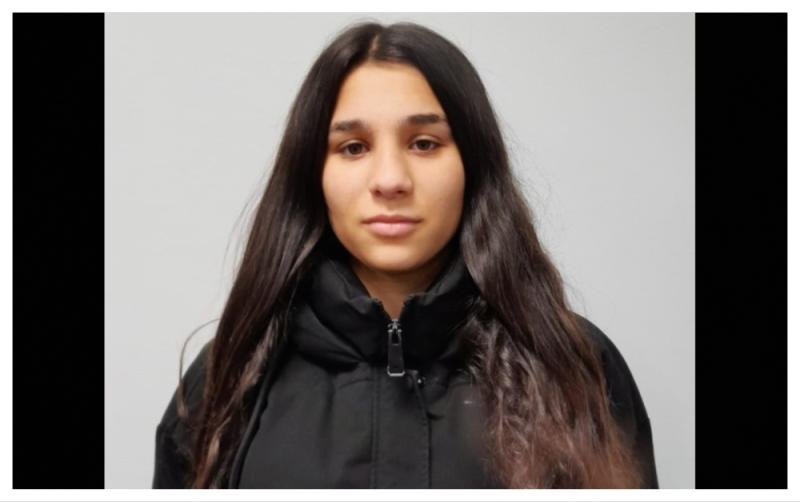 Search stood down for 16-year-old girl missing over two weeks as Garda&iacute; issue update