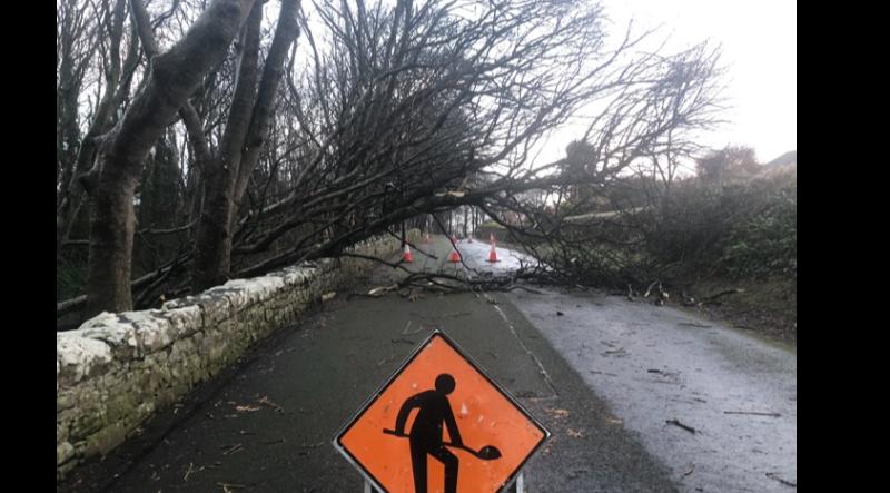 Fallen trees at the Mall Ballyshannon - Road closed 