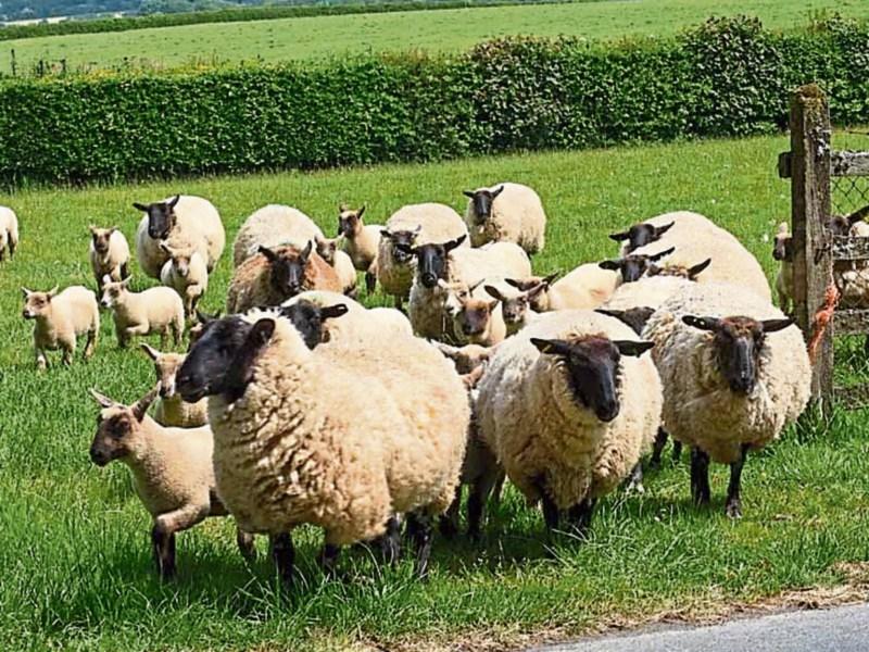 Meeting will seeks to address support and fairness for farmers