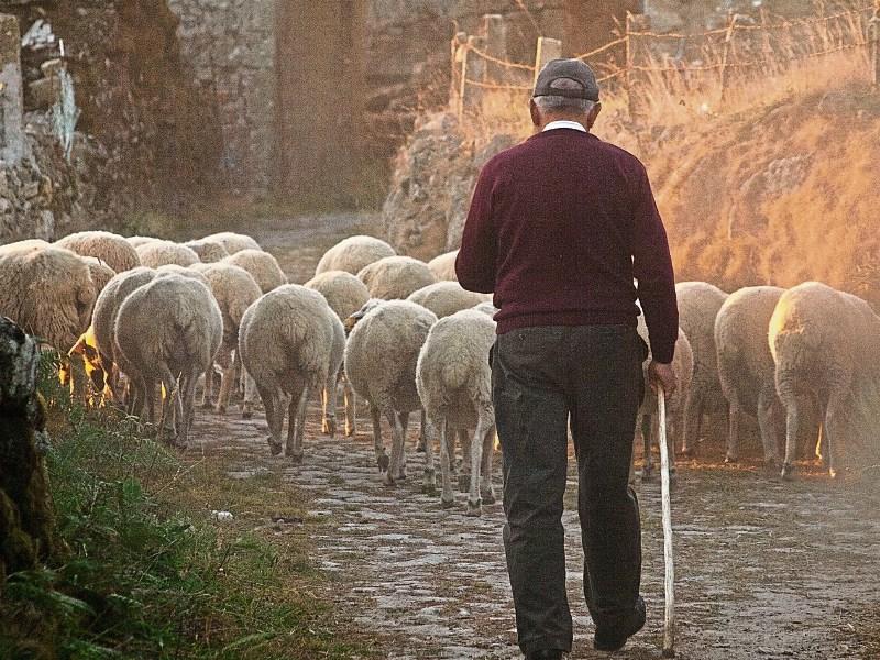 Illegal invasion poses challenges for farmers