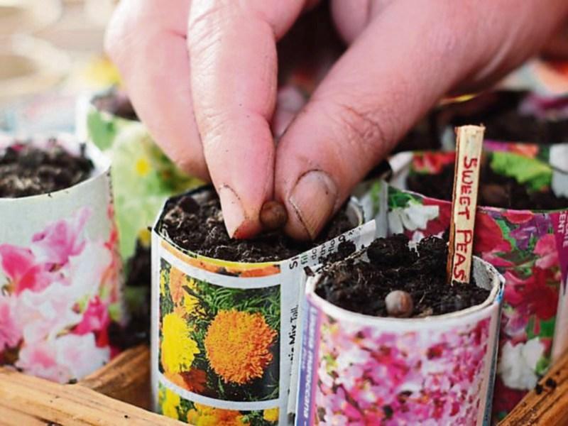 Gardening with Jo: Find your sanctuary &ndash; mine's my garden