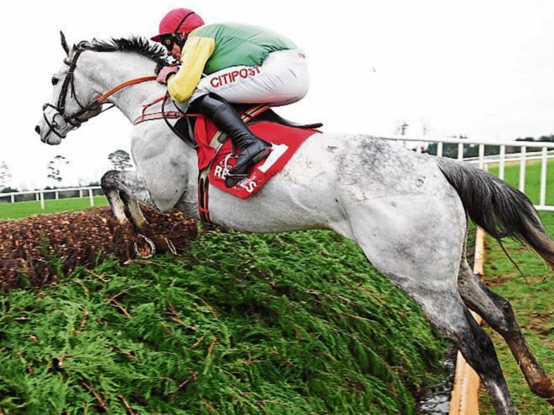 Smashing effort gives de Bromhead Gowran glory
