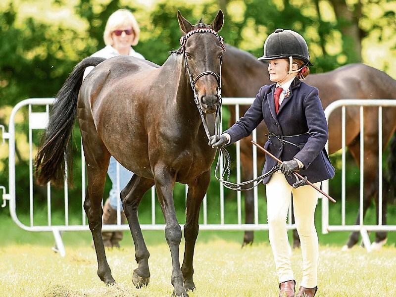 Weather hits another Donegal show as Ballyshannon Show is cancelled