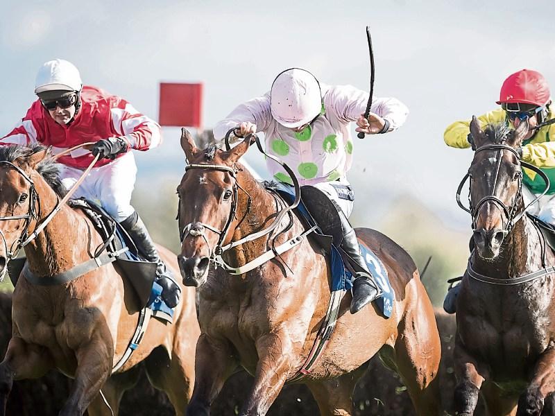 THE PUNTER'S EYE: Three horses worth backing this weekend 