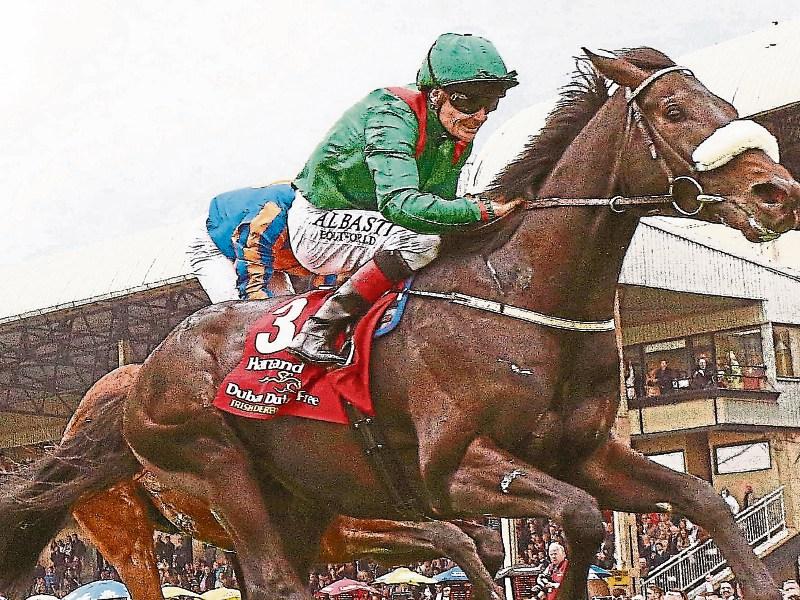 Can Cracksman conquer this Saturday's Irish Derby