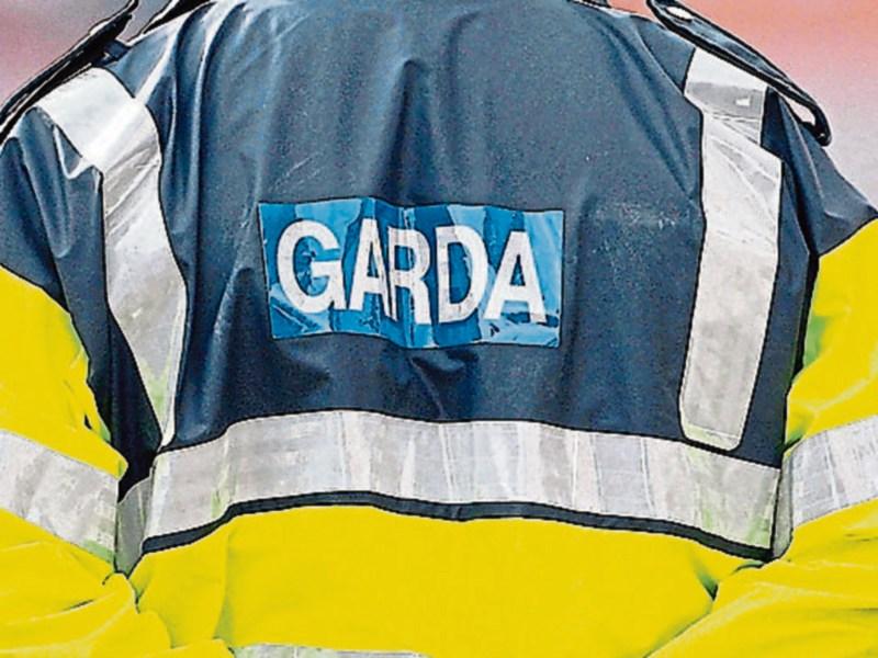 Cash and jewellery taken from house in Naas