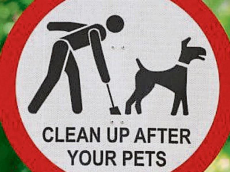 Dog fouling