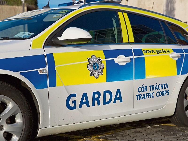 Garda appeal for information on traffic collision near Springfield Hotel