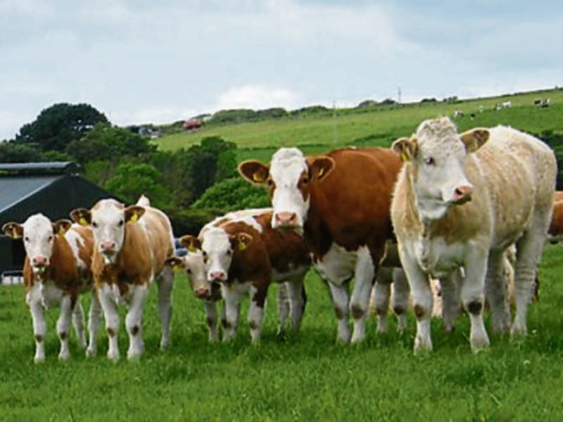 Farming For Nature Awards now open