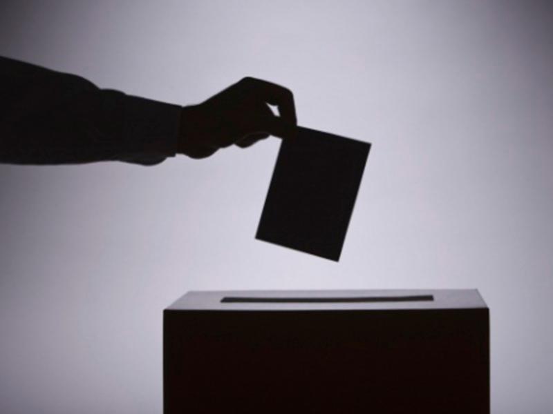 Election website by University of Limerick lecturer helps voters make ‘informed decision’