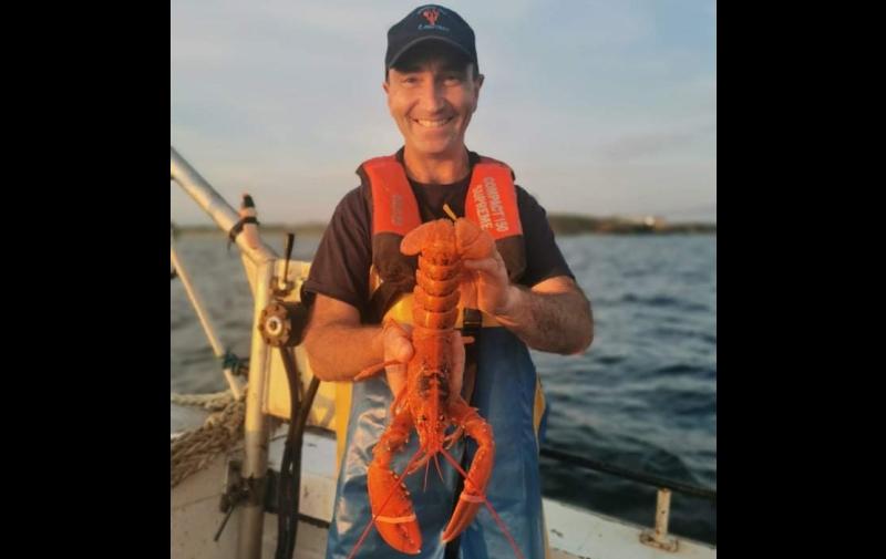 Millions to one odds involved as rare Orange lobster discovered in Donegal Bay! 