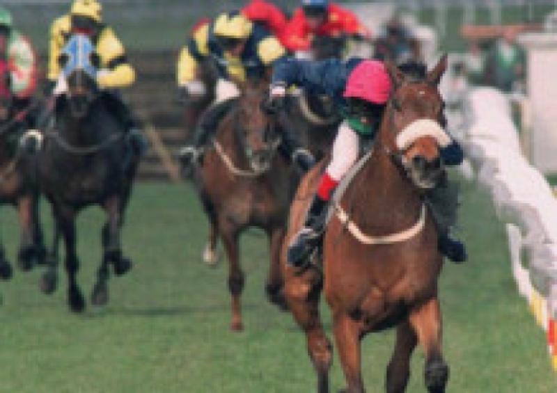 Remembering Terry’s successful National quest 