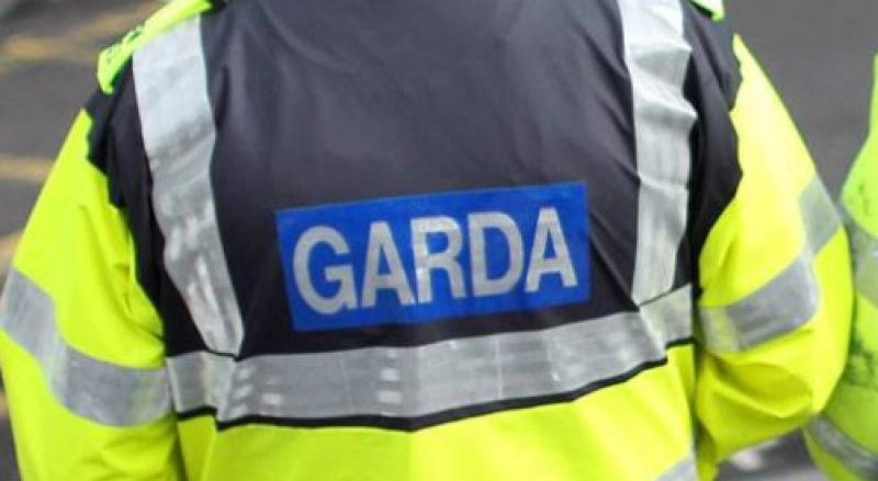 Limerick man told gardai 'I am going to bite the faces off ye' before allegedly biting garda