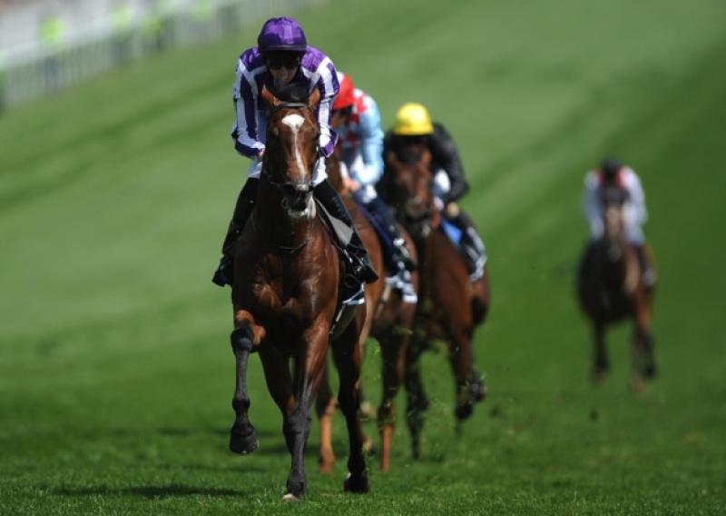 St Nicholas Abbey ridden by Joseph O'Brien wins The Diamond Jubilee Coronation Cup during Investec Derby Day of the Investec Derby Festival at Epsom Racecourse. PRESS ASSOCIATION Photo. Picture date: Saturday June 2, 2012. See PA story RACING Epsom. Photo credit should read: Nigel French/PA Wire