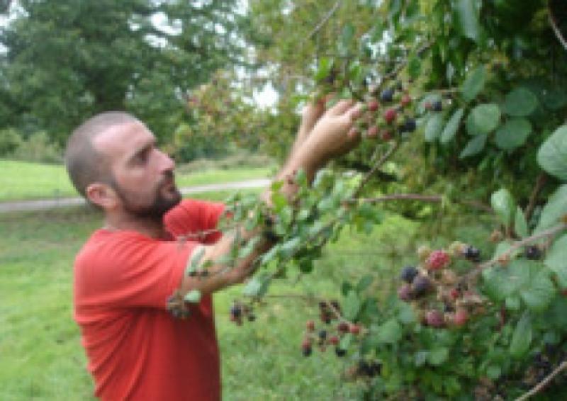 &lsquo;Moneyless Mark&rsquo; the Donegal man who plans to live in money-free community 
