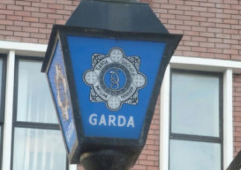 Donegal gardaí seek information in relation to criminal damage incident