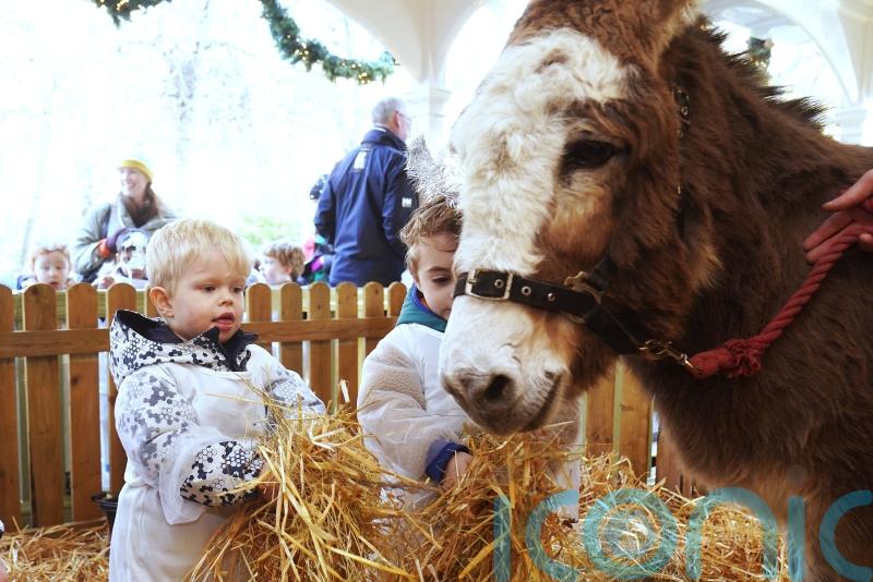 Live animal crib opens in Dublin&rsquo;s Stephen&rsquo;s Green park