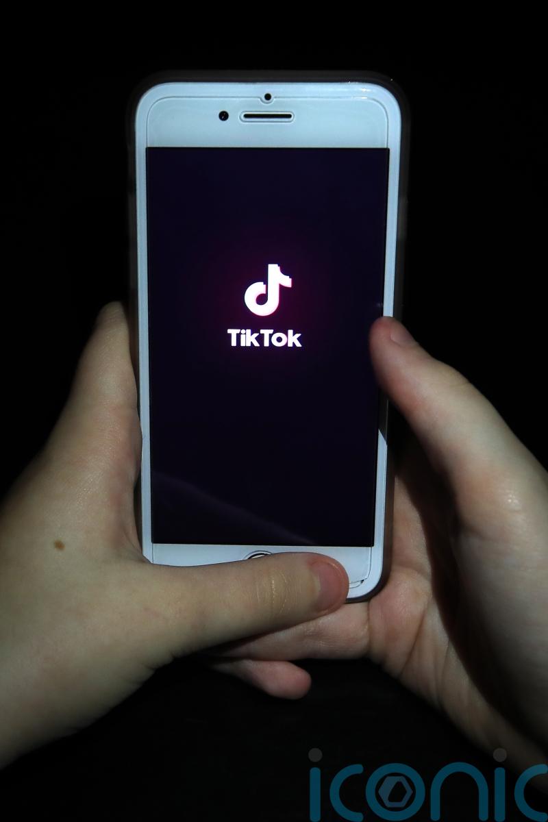 TikTok removes 80m under-age accounts per year, committee told
