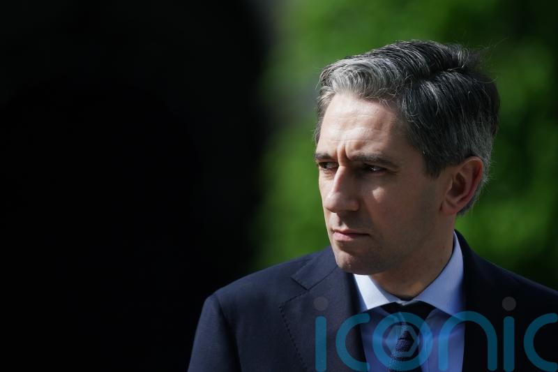 Harris hails ‘Team Ireland’ operation as 163 migrants are removed from camp