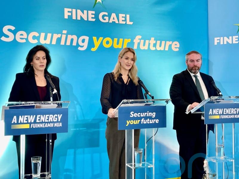 All Fine Gael&rsquo;s policy pledges are fully costed, McEntee says