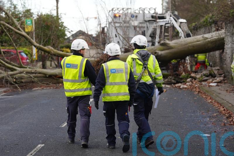 Report recommends cancelling events under Orange wind warnings