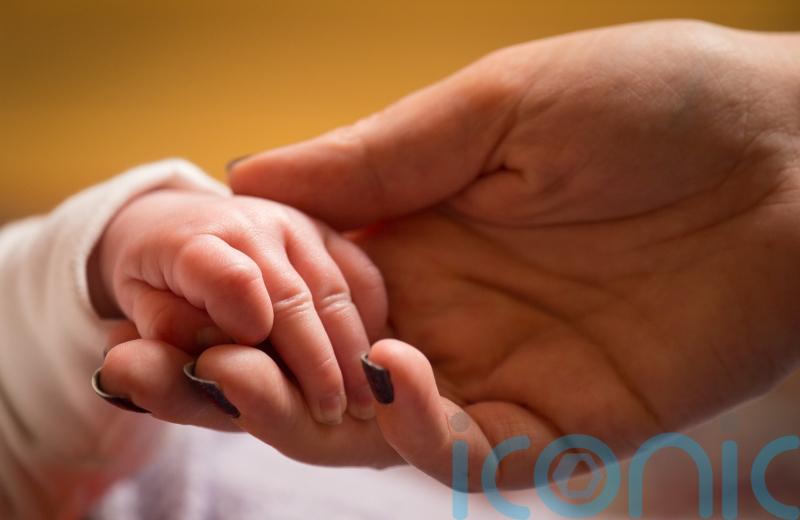 Record number of babies born to women aged over 44