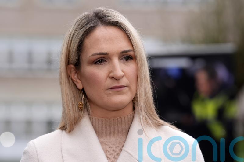 Anti-drone technology will be in place by next summer &ndash; Helen McEntee